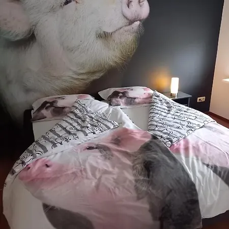 Dom wakacyjny Aan 't Weitje *