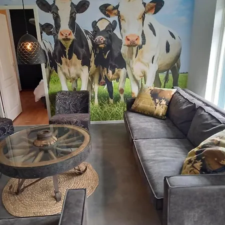 Vakantiehuis Aan 't Weitje Ermelo