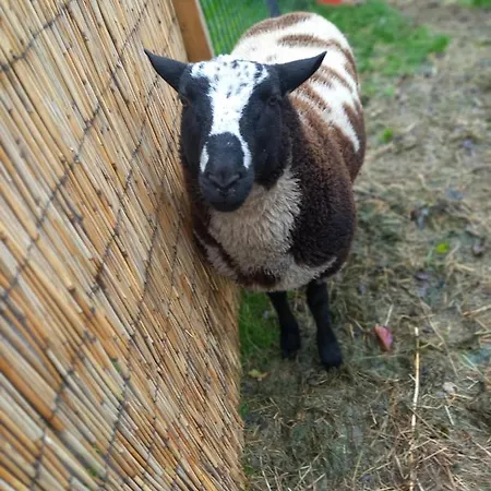 Aan 't Weitje *