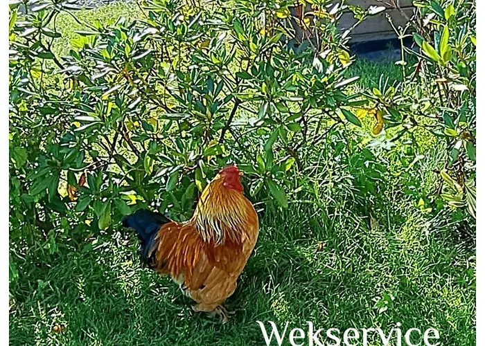 Aan 't Weitje Ermelo